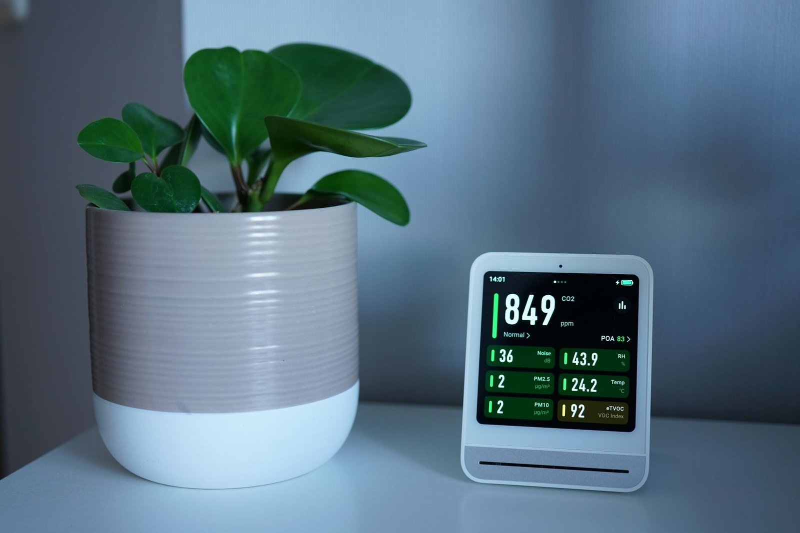 Best Budget Air Purifiers 2026